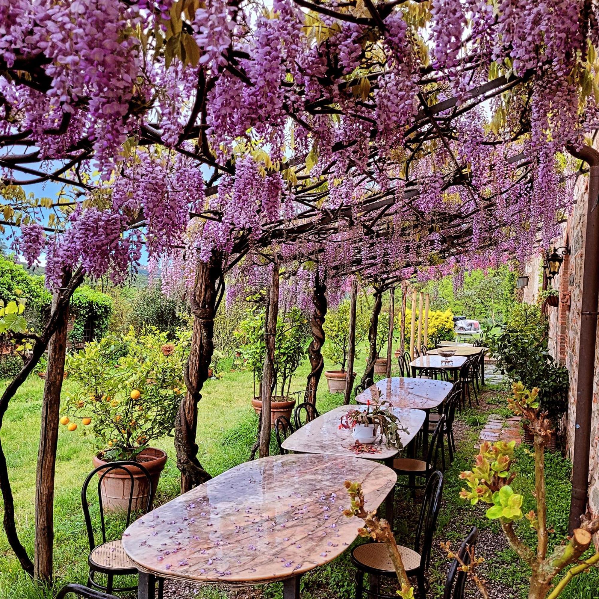 Agriturismo I Pitti Serravalle Pistoiese Ngoại thất bức ảnh